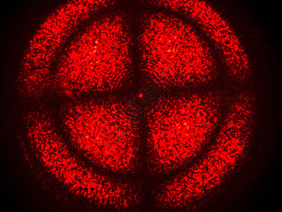 非线光学晶体的红色激光交叉双折射图案通过偏振滤光片背景图片