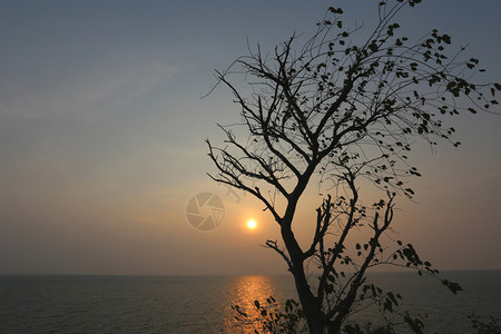 傍晚的夕阳下有图片