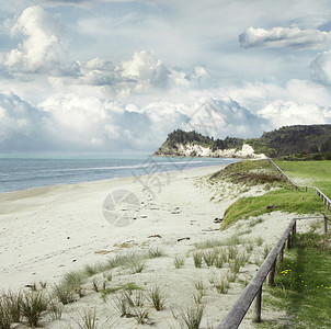新西兰北岛部岛屿海滩图片