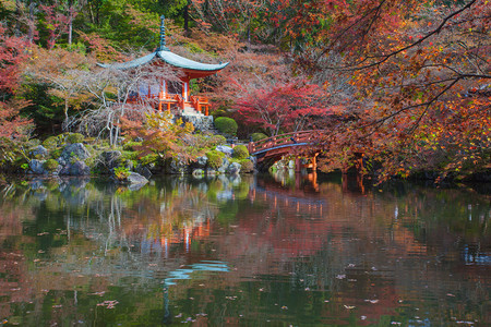 京都戴高吉寺庙世界遗产的秋季美丽的日本花园DaigojiTemp图片