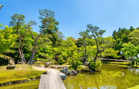 日本关西地区的奈良公园图片