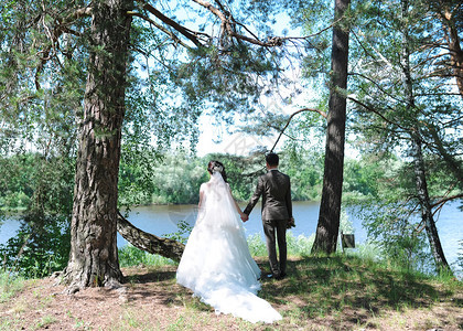 婚礼情侣在湖边的树图片