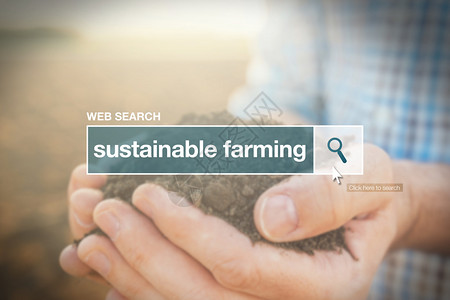 因特网词汇表中的可持续农业网页搜索条术背景图片
