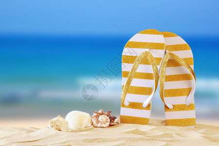 热带沙滩贝壳和人字拖的图像夏季概念图片
