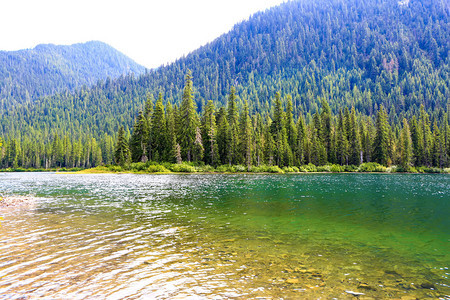 风景秀丽的山绿湖水透明风景不错图片