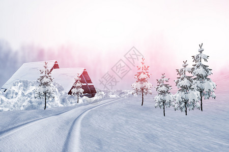 冬季森林冬季风景图片