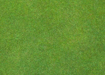 高尔夫球场上美丽的绿草图案图片