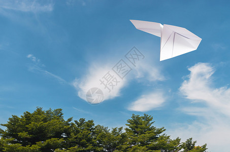 纸飞机过树蓝天白云图片