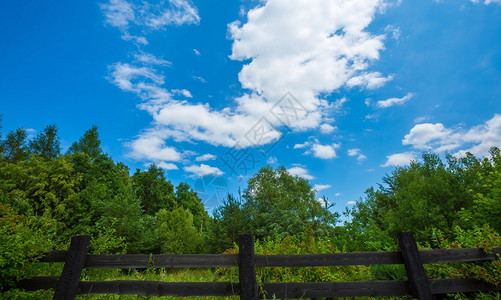 美丽的夏日蓝色的天空和云在草地森图片