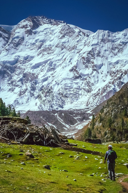 Trekker行走在通往巴基斯坦卡拉科鲁姆NangaParbat基地营图片