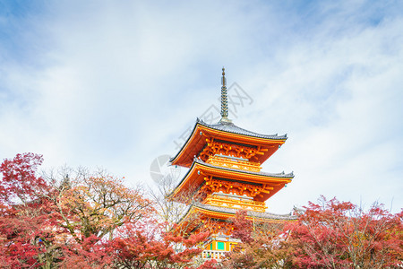 日本京都清水寺的美丽建筑背景图片