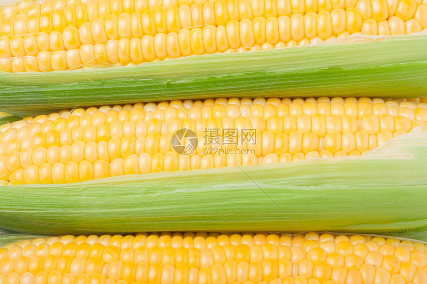三的玉米图片