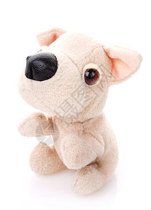 儿童玩具软式泰迪狗白背景图片