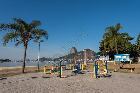 里约热内卢老年人户外锻炼设备组织背景