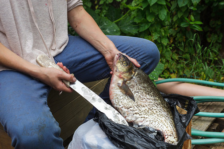妇女在不卫生的条件下清洁河流鱼类在恶劣图片