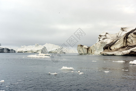 格陵兰岛Ilulissat冰山湾的北极海图片