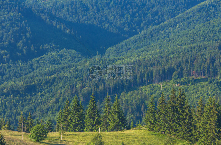 在阳光下发光的树林的壮丽景色戏剧和风景如画的早晨场景地点图片