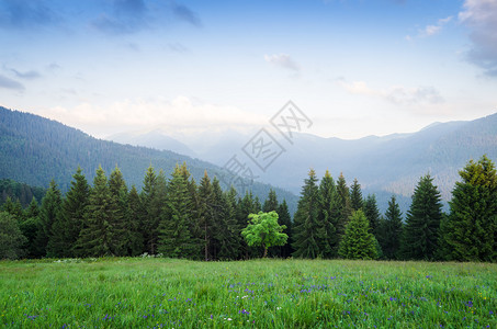 在山的夏天风景图片