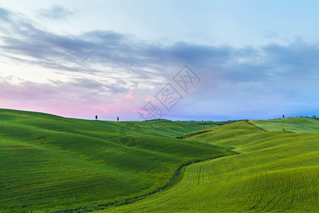 乡村风景意大利日落景观意大利典型托斯卡背景