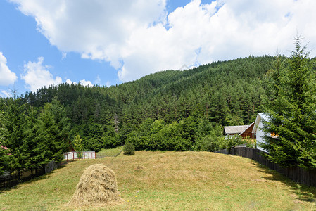 罗马尼亚Brasov山的一个村庄和绿林的干草堆照片图片