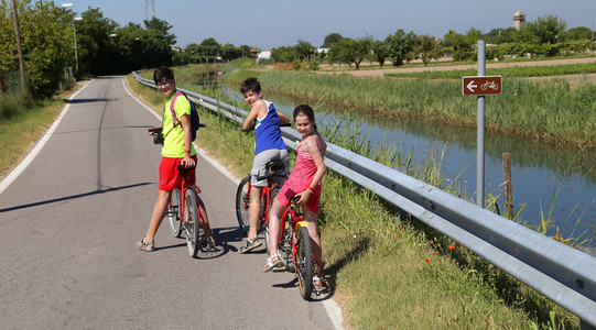 三个年轻的兄弟在夏天的旅途中骑自行车图片