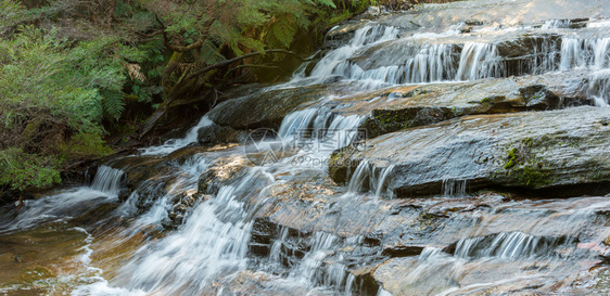 蓝山公园美丽的瀑布和绿树图片
