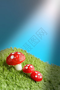 3个蘑菇在草原上雨图片
