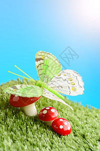 草地上的三只蘑菇鹅膏菌和蝴蝶图片