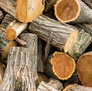 木柴堆放成堆的木柴为冬季准图片