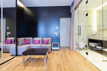 带淋浴的现代酒店房间的内部图片