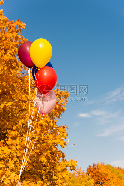 在秋叶背景的气球图片