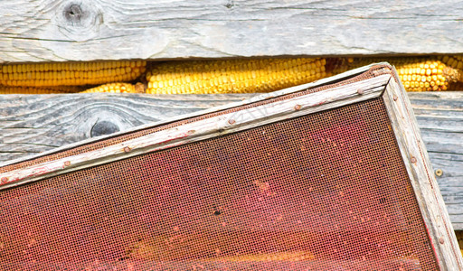 传统储藏大玉米和小鳕鱼的闭合传统储藏图片