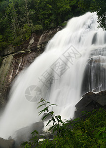 在美国北卡罗来纳州收银员附近的Gorges州立公园中岩石沉积图片