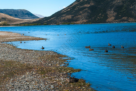 Rua湖野生动物保护区图片