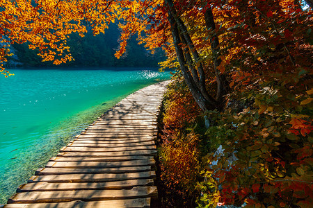 克罗地亚Plitvice湖公园秋光图片