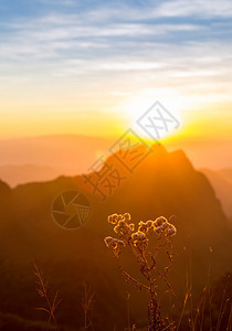 在泰国山顶日落山顶的图片