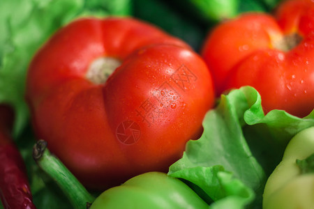 新鲜的有机蔬菜秋季蔬菜收获沙拉的配料生菜西红柿黄瓜西葫芦茄子图片