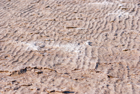 盐湖干盐湖底部充满了纹理这些裂缝形成了一种独特的闪电图片