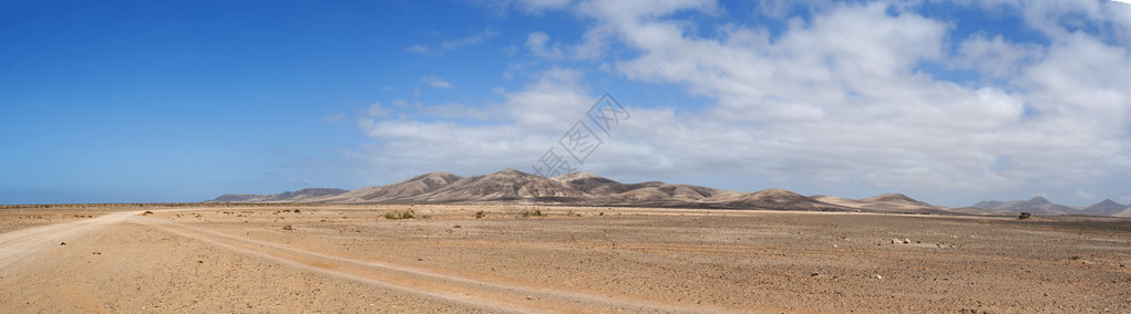 从土路到岛西北海岸滩的沙漠景观图片