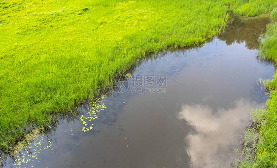 岸边有绿色芦苇的河流图片