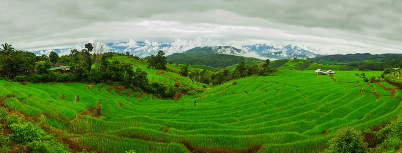 BanPapongpieng梯田图片