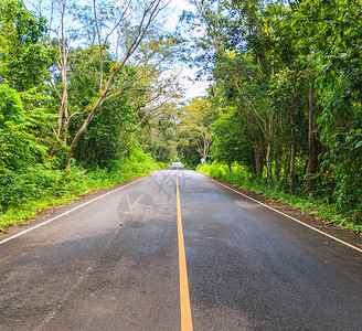 道路上绿树的道路和隧道图片