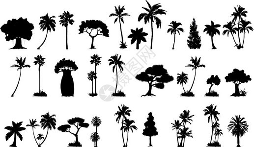 一组棕榈树剪影的插图图片
