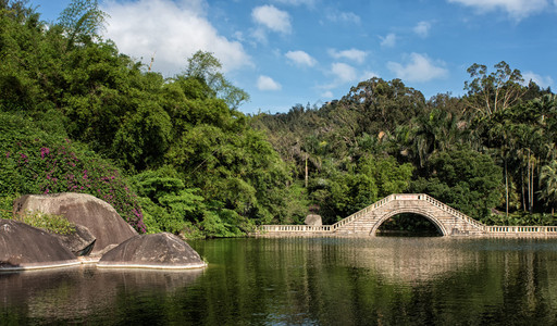 在Xiamen南普托寺附近的植物园内一个湖图片