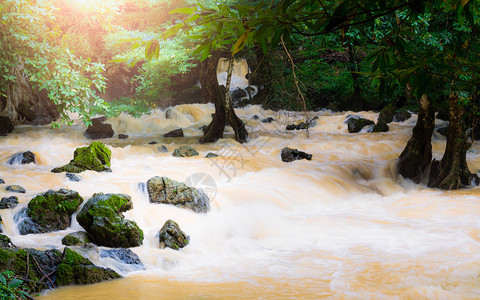 泰国PhangNga省热带雨林和图片