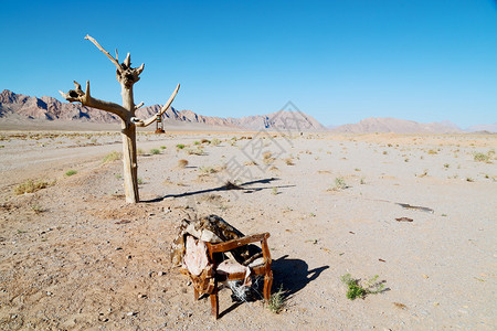 伊兰的椅子模糊了旧死树在空旷的波斯灯油图片