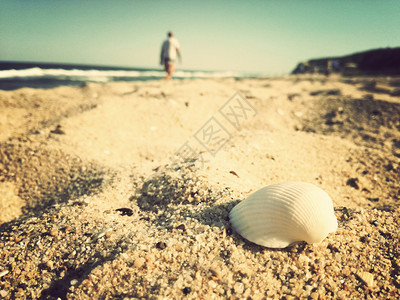 在海滩上靠近一个贝壳的海边步行的人被后种回来有选择焦图片