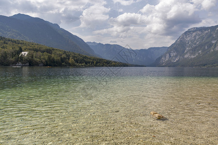 Bohinj湖夏季风景和JulianAlps图片