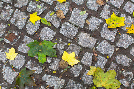 鹅卵石上落黄的叶子秋天的质地图片