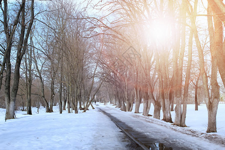 风景公园里早春的日子在大自然中落下和融化的雪图片